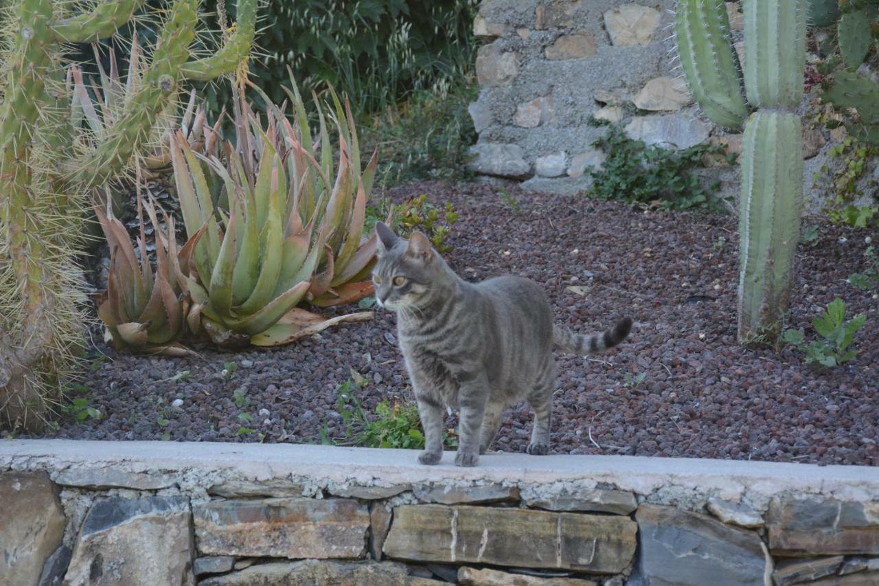 דולצ'דו Agriturismo San Michele Di Danio Giovanni מראה חיצוני תמונה