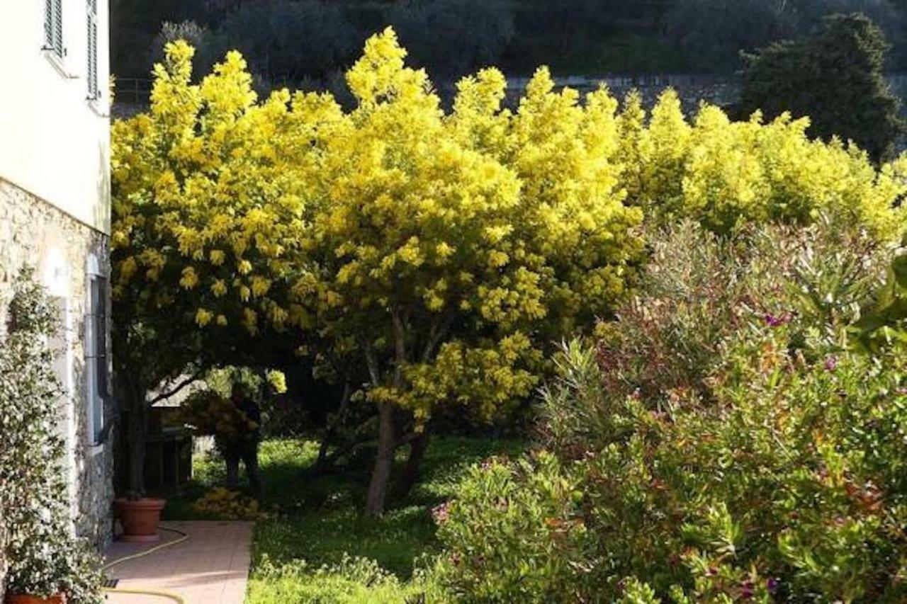 דולצ'דו Agriturismo San Michele Di Danio Giovanni מראה חיצוני תמונה